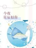 今夜星辰似你诺小颖&傅夜沉