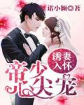 诱妻入怀：老公深深爱冷夜沉